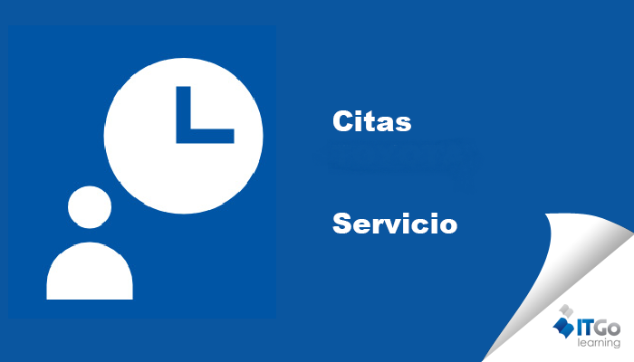 CITAS SERVICIO