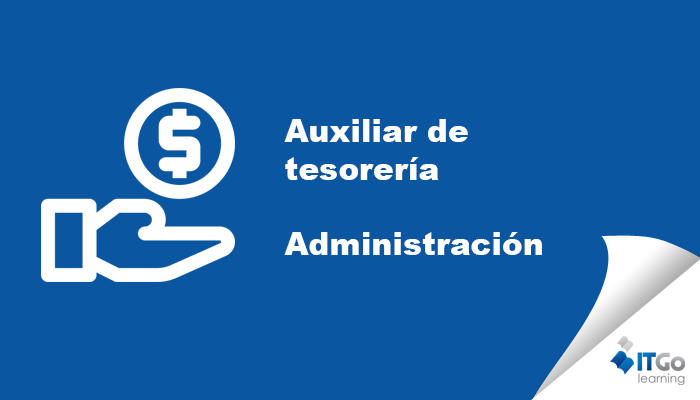 Auxiliar de tesoreria