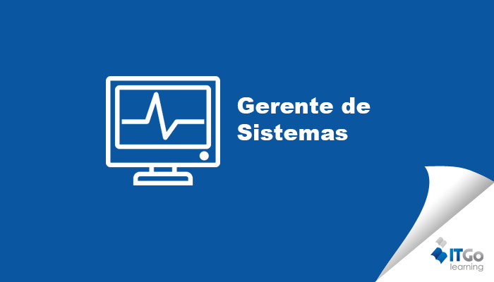 GERENTE DE SISTEMAS 